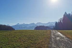 Wanderung Spiez - Gwatt