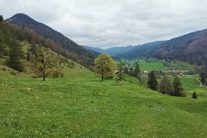 Wanderung Combe-Tabeillon - Undervelier - Berlincourt