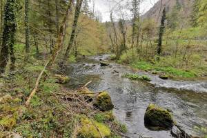 Sorne Wanderung Combe-Tabeillon - Undervelier - Berlincourt