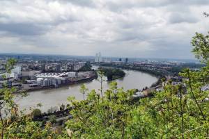 Aussichtspunkt Hornfelsen Rhein Basel