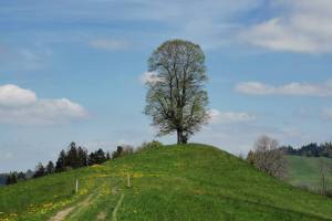 Wanderung Luthern Bad - Hergiswil b. W.