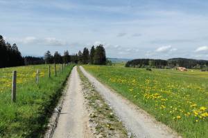 Pra de Fera Wanderung Sorens - Berlens - Romont