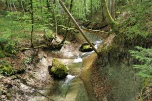 Ruisseau du Mausson Wanderung Sorens - Berlens - Romont