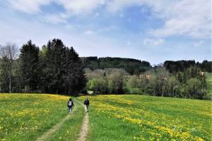 La Neirigue Wanderung Sorens - Berlens - Romont