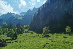 Vallon de Nant, Blick Richtung Norden