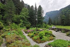 Jardin alpin Pont de Nant