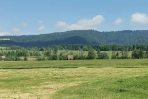 Moorlandschaft Rothenthurm