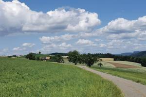 Wanderung Rünenberg - Läufelfingen