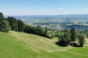 Aussichtsturm Hochwacht Pfannenstiel Blick zum Greifensee