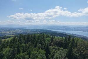 Aussichtsturm Hochwacht Blick zum Zürichsee