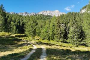 Oberhalb Selva Valposchiavo