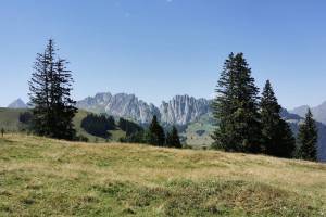 Hundsrügg Blick zu den Gastlosen