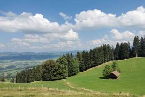 Wanderung Homberg - Egg - Oberi Halte - Hilterfingen