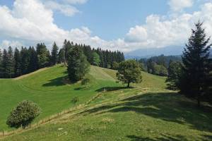 Wanderung Homberg - Egg - Oberi Halte - Hilterfingen