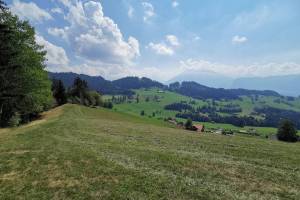 Wanderung Homberg - Egg - Oberi Halte - Hilterfingen