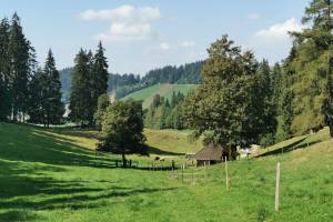 Wanderung Homberg - Egg - Oberi Halte - Hilterfingen