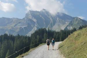 Wanderung Stockhütte - Brisenhaus - Niederrickenbach