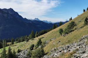 Aufstieg vom Col du Pillon zum Col de Voré