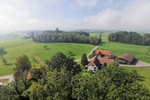 Aussicht vom Napoleonturm