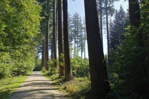 Wanderung Helsighausen - Siegershausen