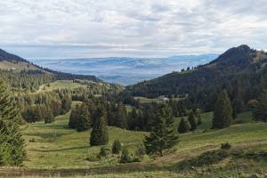 Wanderung Gurnigel - Wittnere - Blumenstein