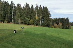 Wanderung Guggisberg - Guggershorn - Schwarzenburg