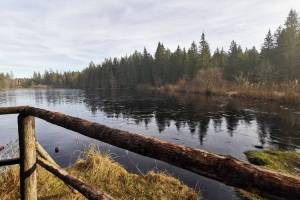 Etang de la Gruère