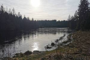 Etang de la Gruère