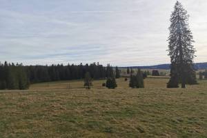 Wanderung Les Reussilles - Etang de la Gruère