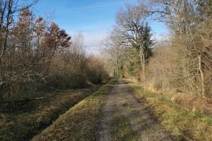 Wanderung Monniaz - Jussy - Chêne Bourg