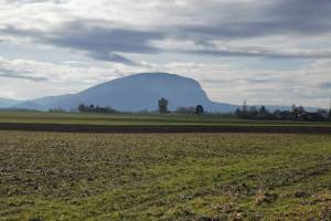 Wanderung Monniaz - Jussy - Chêne Bourg