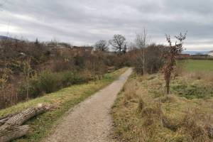 Wanderung Monniaz - Jussy - Chêne Bourg