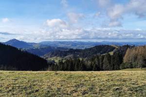 Wanderung Trogen - Gäbris