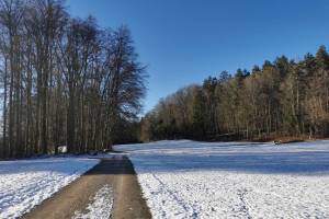 Wanderung Weiningen - Würenlos