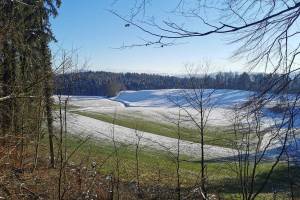 Wanderung Weiningen - Würenlos