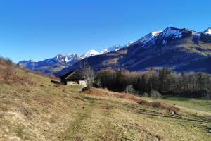 Wanderung Montbovon - Villars-sous-Mont