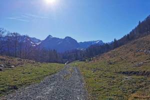 Wanderung Montbovon - Villars-sous-Mont