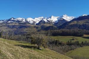 Wanderung Montbovon - Villars-sous-Mont