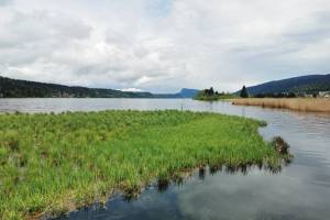 Lac de Joux