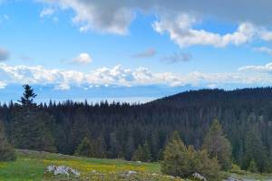 Mont Tendre Genfersee