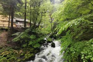 Beim Eingang zur Grotte de l'Orbe