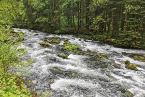 Orbe bei Vallorbe