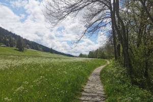 L'Abbaye Vallée de Joux