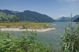 Alpnacherried Vierwaldstättersee