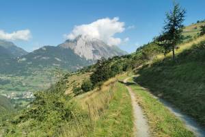 Bisse Vieux, im Hintergrund der Catogne