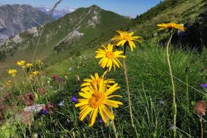 Col de Chargerat