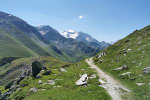 Abstieg zum Col de Mille, im Hintergrund der Grand Combin