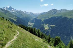 Alpage Le Coeur, Blick ins Gebiet des Col du Grand-St-Bernard