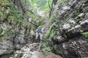 Leitern in der Combe Grède