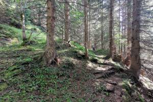 Wanderung Gschwantemad-Grindelalp